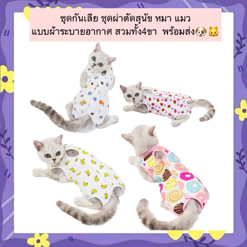 AL-1151 ชุดกันเลีย แบบผ้าระบายอากาศ สวมทั้ง4ขา กันเลีย ชุดผ่าตัด พร้อมส่ง