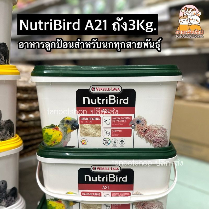 พร้อมส่ง💢 Nutri Bird A21 นูทรีเบิร์ด อาหารลูกป้อน สำหรับลูกนกทุกสายพันธุ์ แบบถัง 3kg.