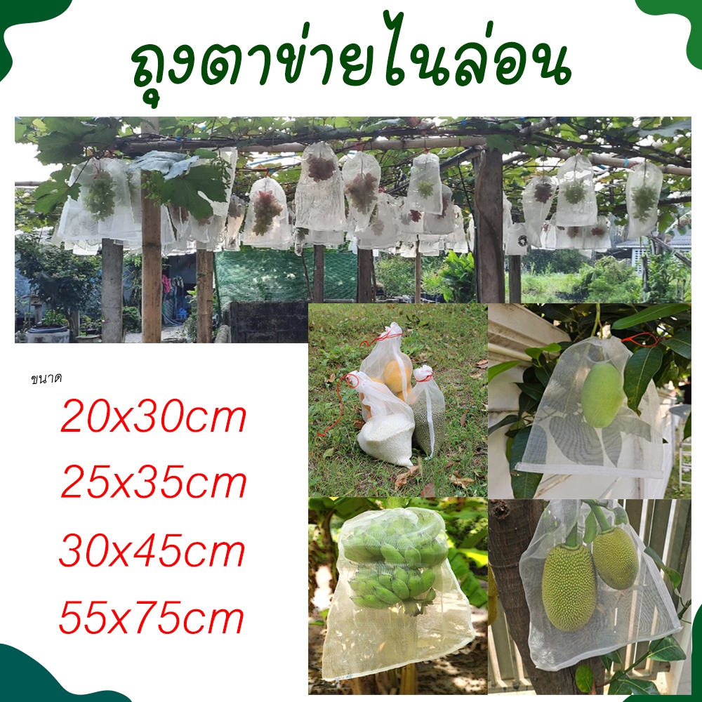 ถุงตาข่ายห่อผลไม้  ห่อกล้วย,ห่อมะม่วง,ห่อชมพู่,ห่อขนุน  (มีเชือกรูดปากถุงในตัว)