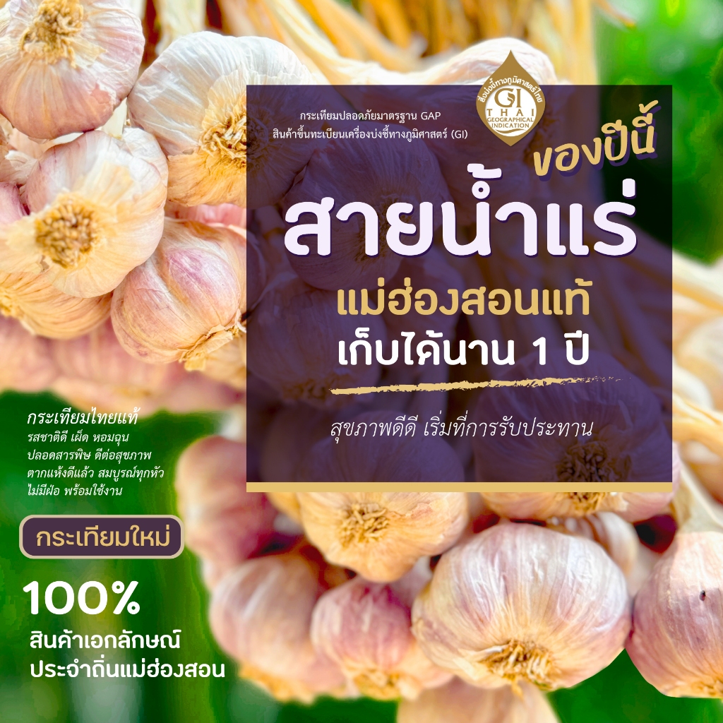 Garliko - กระเทียมไทยแท้ พันธุ์สายน้ำแร่ ของแท้จากแม่ฮ่องสอน ทำอาหารไทยดีเยี่ยม เก็บได้นาน 1 ปี