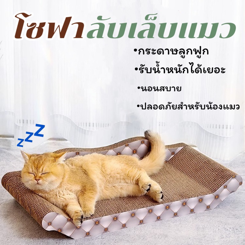 โซฟาลับเล็บแมวลายสุดเก๋ ที่ลับเล็บ ที่ฝนเล็บ แผ่นลับเล็บ กล่องลับเล็บ 貓抓板 cat scratcher