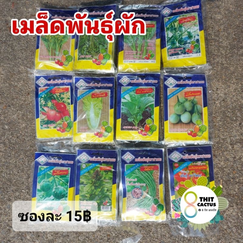 เมล็ดพันธุ์ ผักสวนครัว