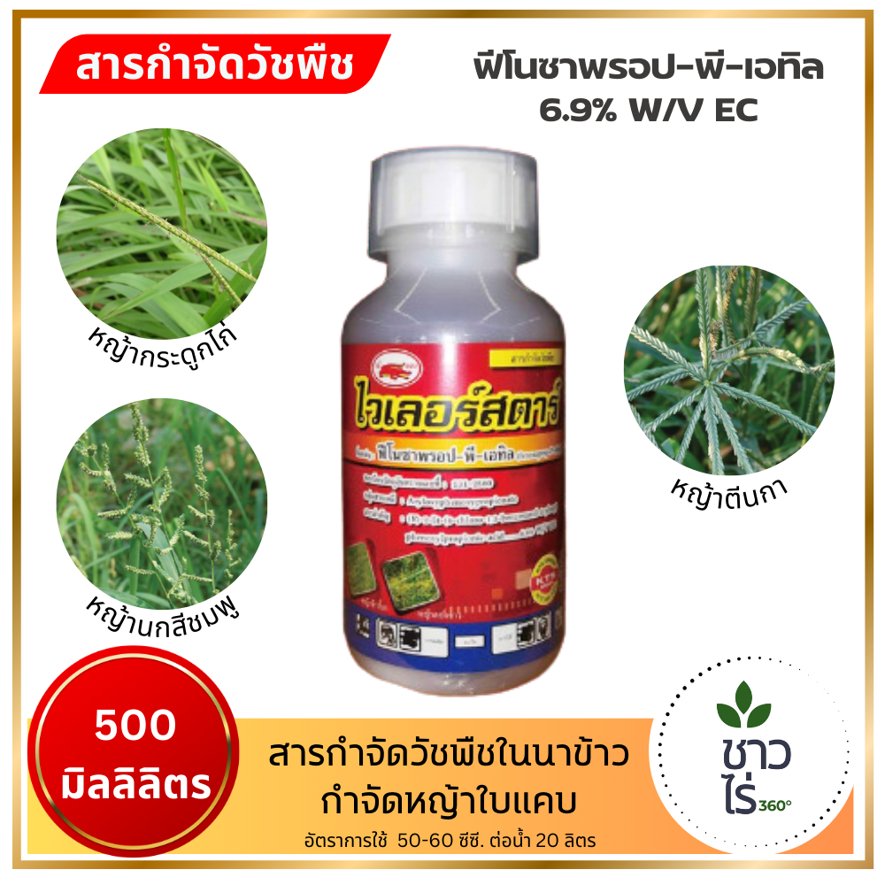 ไวเลอร์สตาร์ 500 มิลลิลิตร ตราเข้แดง กำจัดวัชพืชในนาข้าว ข้าวไม่แดง กำจัดวัชพืชใบแคบ หญ้าข้าวนก หญ้าดอกขาว หญ้ากระดูกไก่