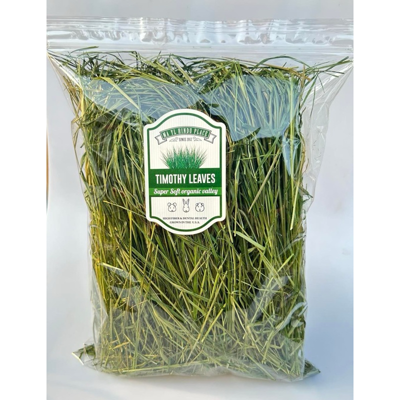 Mayl Timothy Leaves มายลทิมโมธี ลีฟ🌱