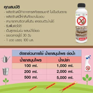 น้ำยาไล่ตะขาบ น้ำยาสมุนไพรป้องกันตะขาบ 100 ml rwcph10011210567