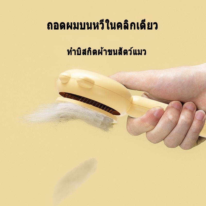 รูปภาพ 5