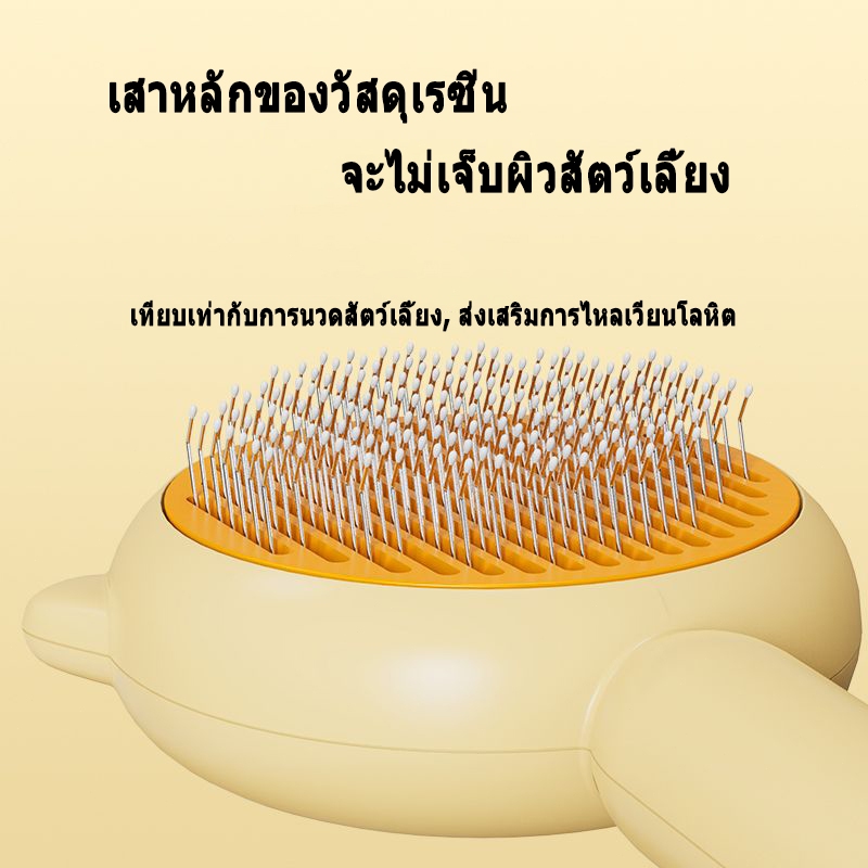 รูปภาพ 6