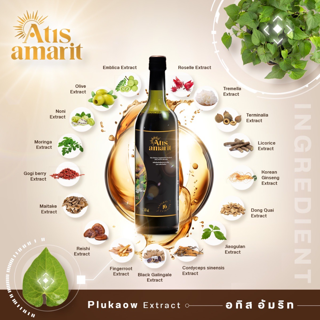 Atis Amarit น้ำพลูคาว 2 แถม 2 อทิส อัมริท พลูคาวสกัด พลูคาว อั้ม น้ำอัมริท พลูคาวน้ำ อัมริทพลูคาว - รูปที่ 3