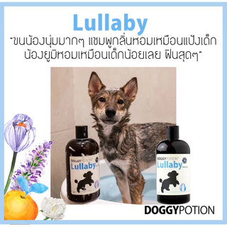 Doggy Potion Lullaby Shampoo ขนาด 500ml&2000ml