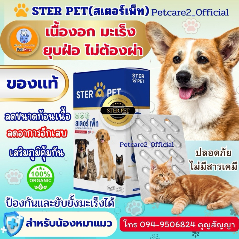 Ster Pet (ของแท้) 🌟 จากร้าน Petcare2  ดูแลสุขภาพน้องหมาแมว เนื้องอกมะเร็ง