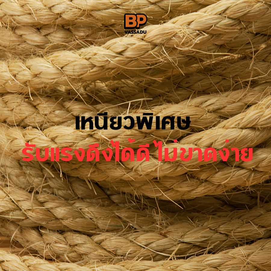 เชือกลับเล็บแมว เชือกมะนิลา เชือก ป่าน ผลิตจากเส้นใยธรรมชาติ ไม่มีสารพิษ ของเล่นแมว Manila rope - รูปที่ 4