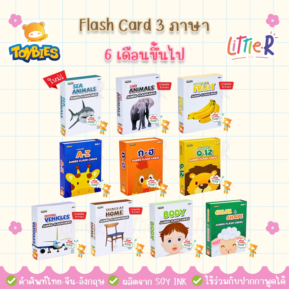 Toybies Flash Card แฟรชการ์ด บัตรคำ flashcard การ์ด การ์ดขนาดใหญ่ บัตรคำยักษ์ เสริมพัฒนาการลูก