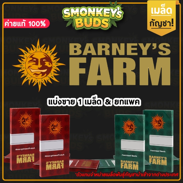 ค่าย Barney's Farm ค่ายแท้💯 จากตัวแทนเมล็ดพันธุ์กัญชานอก