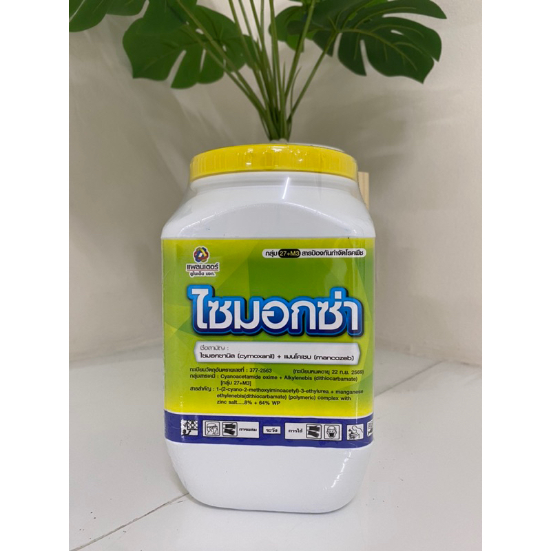 ใช้โค้ตพร้อมกันได้ ไซมอกซ่า ขนาด 500กรัม ไซมอกซานิล + แมนโคเซบ ยาเชื้อรา ในพืชตระกูล แตง