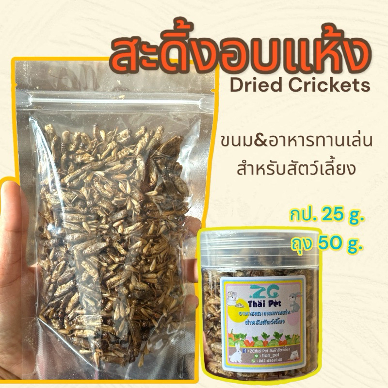 ซื้อ [ZC] สะดิ้ง&จิังหรีด อบแห้ง Dried Crickets ขนม&อาหารทานเล่นสำหรับหนูแฮมสเตอร์ ชูการ์ เม่นแคระ นก กิ้งก่า ฯลฯ