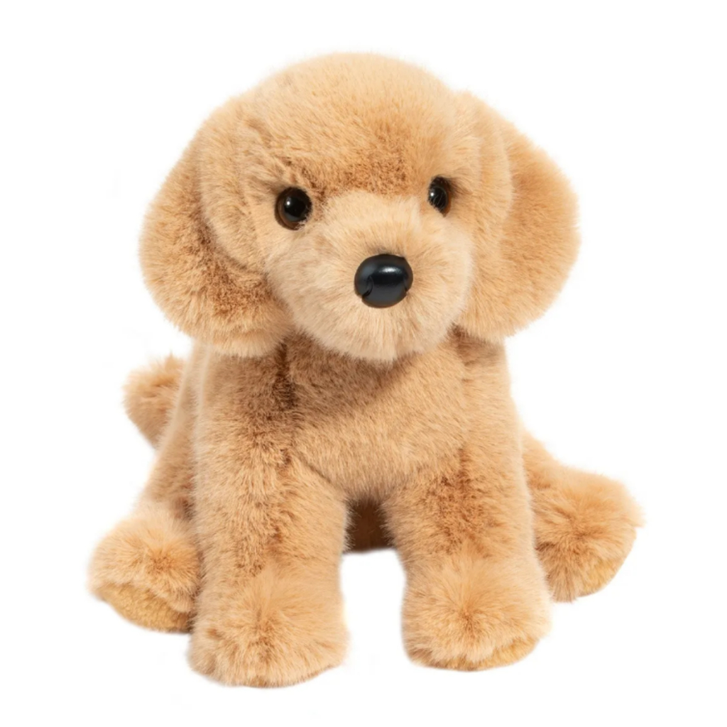 Douglas - Super Goldie Soft Golden Retriever Super Goldie Soft Golden Retriever
