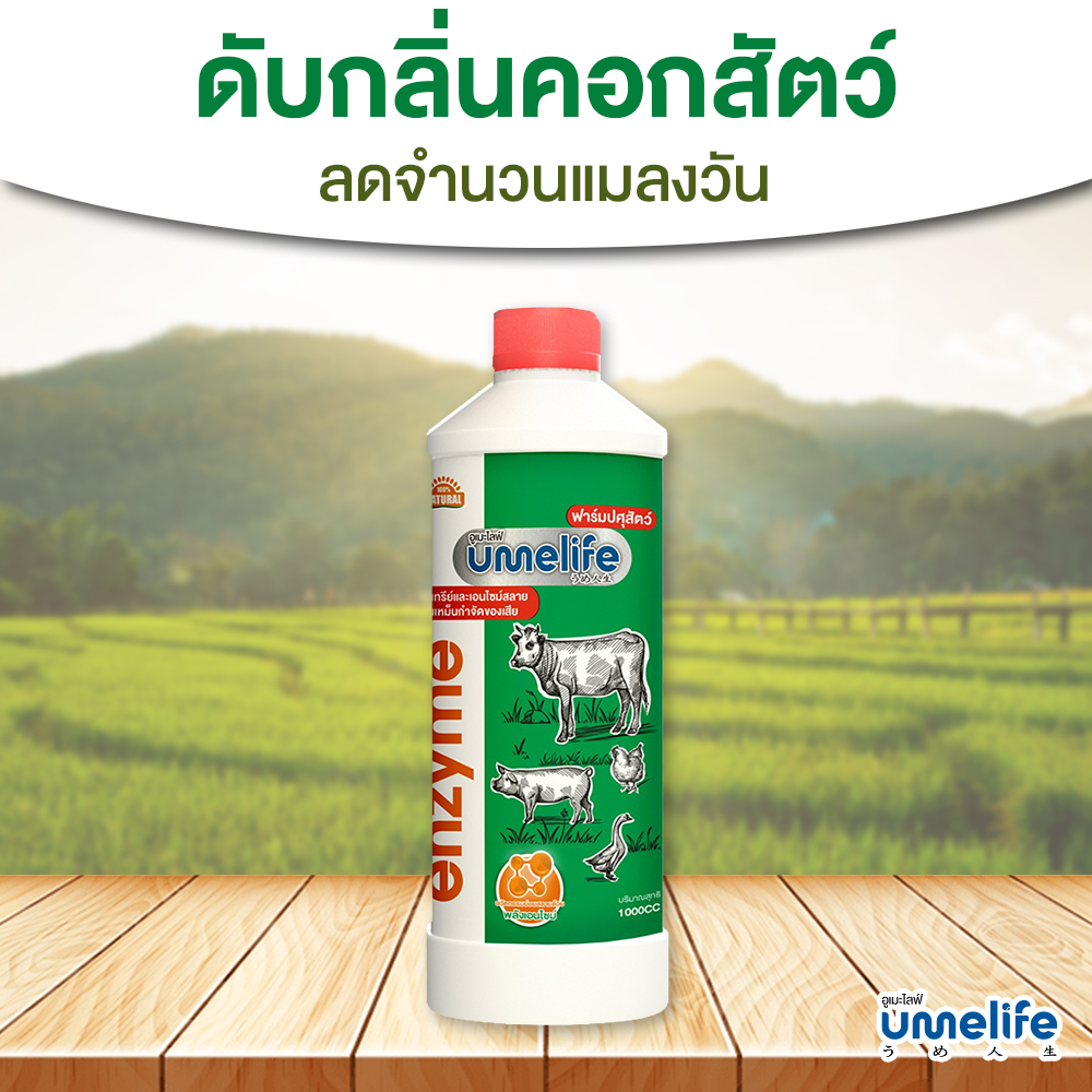 อูเมะไลฟ์ ปศุสัตว์ 1000cc แพ็ค 1-3 ขวด กำจัดกลิ่นคอกสัตว์ ดับกลิ่นเหม็นสัตว์ ลดแมลงวันในคอกวัว หมู
