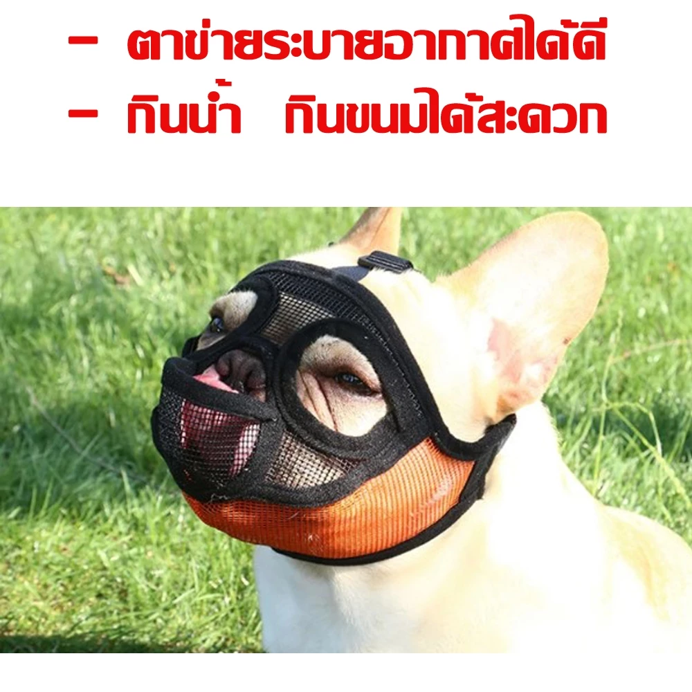 ตะกร้อครอบปากสุนัขหน้าสั้น สำหรับสุนัขหน้าสั้น thumbnail 4