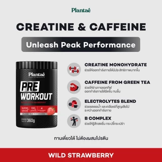 Plantae Performance Set : เซต Pre + Post Workout 1 กระปุก ทานก่อนหลังออกกำลังกาย เวทเทรนนิ่ง คาดิโอ