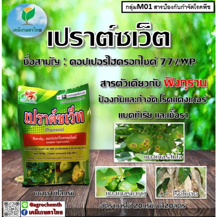 เปราต์ซเว็ต  คอปเปอร์ไฮดรอกไซด์ 77% 1 กก # สารเดียวกับฟังกุราน ป้องกันกำจัดเชื้อราโรคพืชโรคแคงเกอร์มะนาว ส้ม  #ฟังกุราน