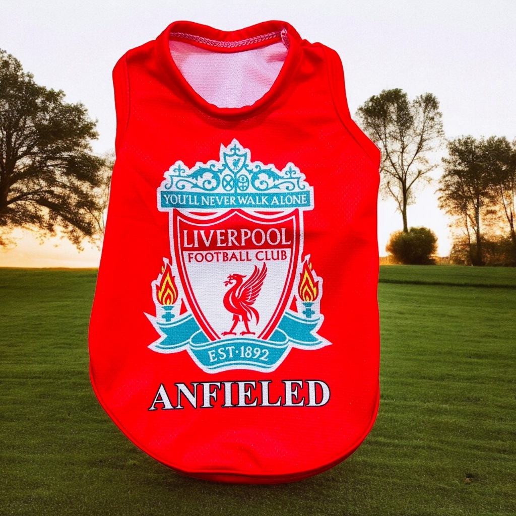 รูปภาพ 3