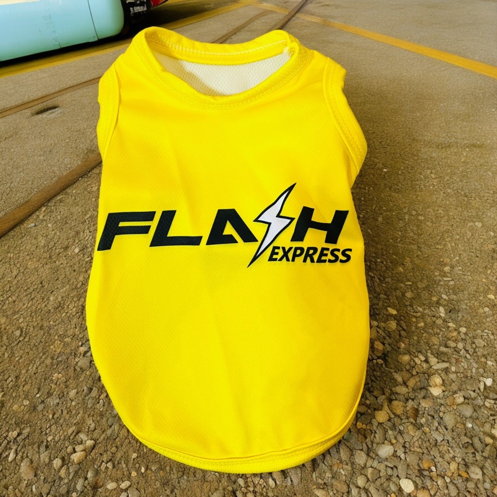 รูปภาพ 5