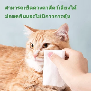 😽ทิชชู่เปียก 80ชิ้น สัตว์เลี้ยงทิชชู่เปียก สำหรับสุนัขและแมว สำหรับเช็ดสัตว์เลี้ยง ปราศจากแอลกอฮอล์อย่างอ่อนโยน