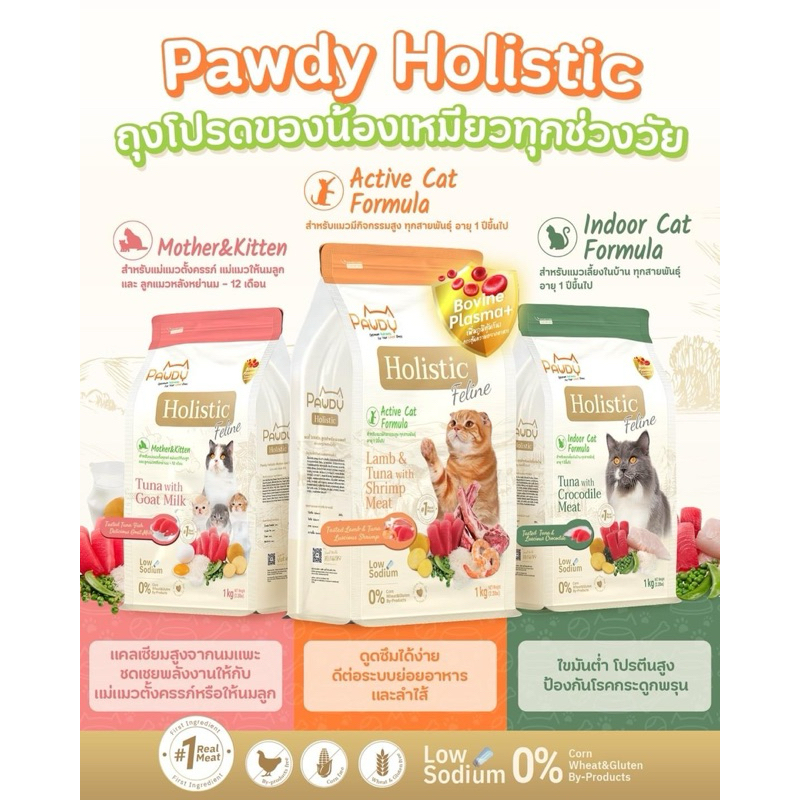 pawdy holistic อาหารแมวเกรดโฮลิสติก!