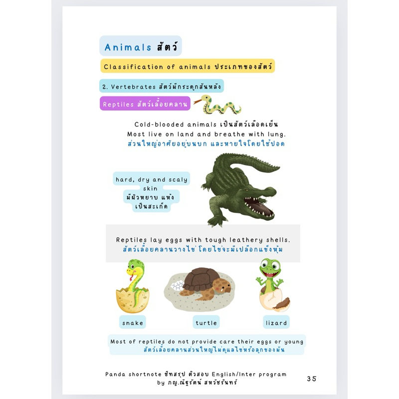 ชีทสรุป science G.4 P.4 วิทยาศาสตร์ ป.4 English/Inter program Book1