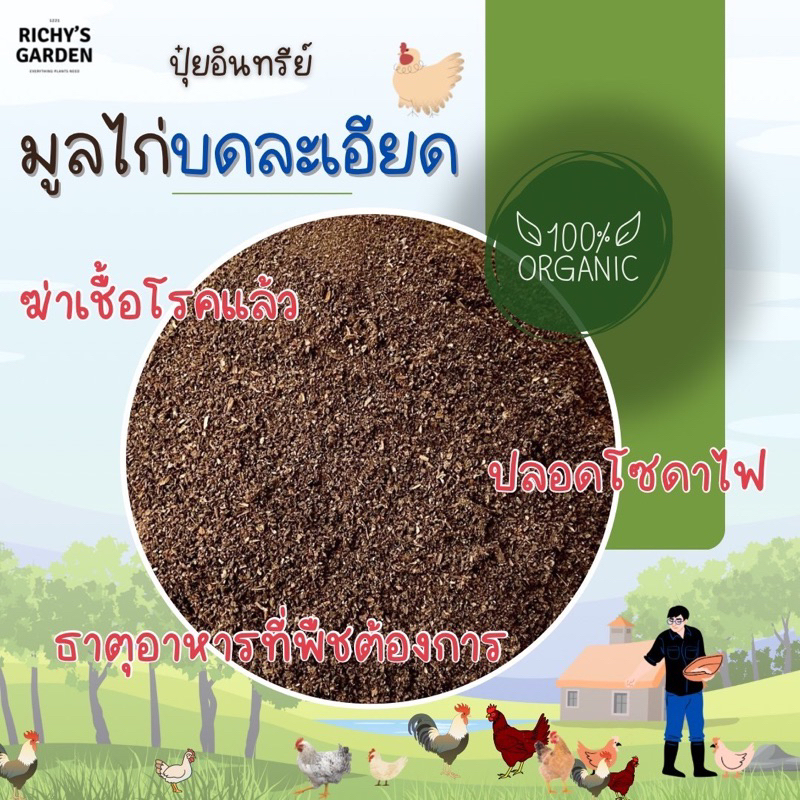 มูลไก่บดละเอียด บำรุ่งพืชผล