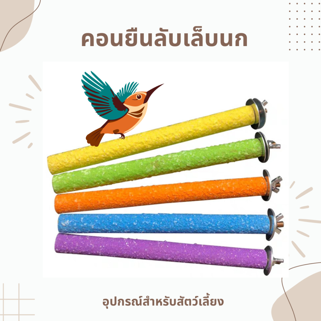 คอนยืนลับเล็บนก อุปกรณ์นกของเล่น คอนยืน หลากสี