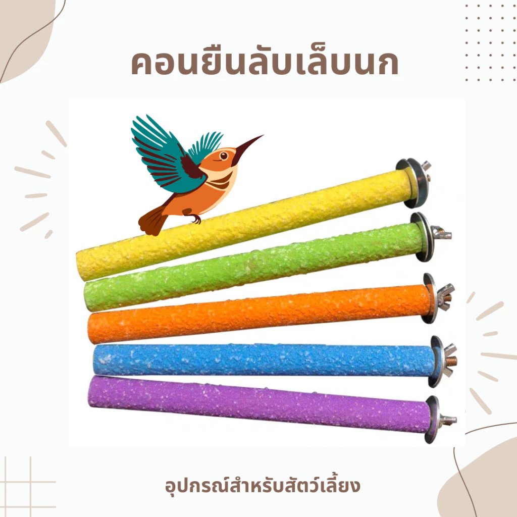 คอนยืนลับเล็บนก อุปกรณ์นกของเล่น คอนยืน หลากสี