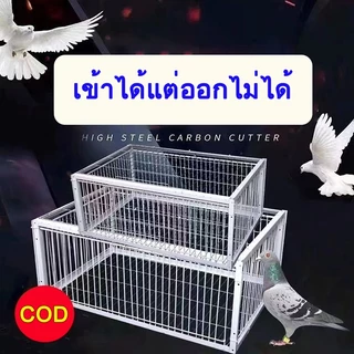 กรงดักนกขนาดใหญ่ เพนียดดักนก 70cm*40cm*26cm กรงกับดักนกพิราบ กรกดักนกเขา กรงนกพิราบ ที่ดักนก กรงต่อนก กรงนกทางเดียว