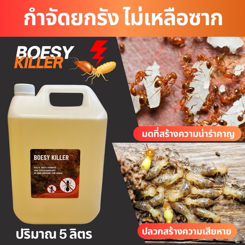 Alan Killer น้ำยากำจัดปลวก กำจัดมด กำจัดแมลงสาบ มอด ตายยกรัง 🔥 เห็นผลใน 1 นาที 🔥 น้ำยากำจัดปลวกคุณภาพสูง หายจริง!!