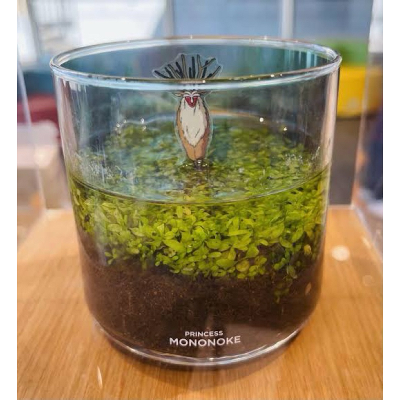 Ghibli Park LIMITED Shishigami Aquatic Plant Cultivation Set Princess Mononoke