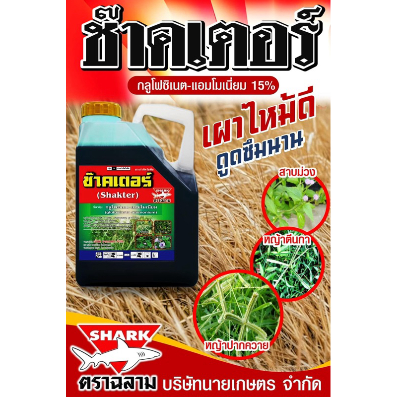 ช๊าคเตอร์ ชื่อสามัญ:กลูโฟซิเนต ขนาด 4 ลิตร เผาไหม้กึ่งดูดซึม กำจัดวัชพืช