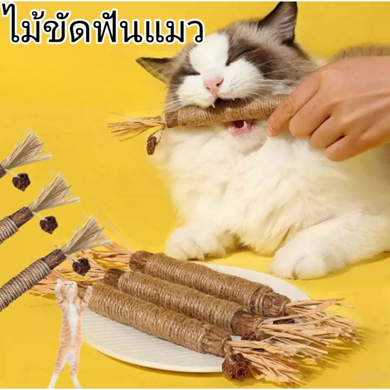 ไม้ขัดฟันแมว ของเล่นแมว ไม้มาทาทาบิ