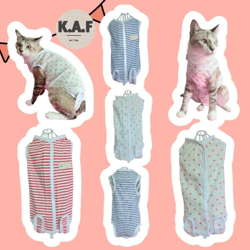 รูปภาพ 3