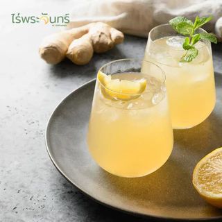 ผงขิงบด Ginger Powder แบรนด์ไร่พระจันทร์ ขนาด 100 กรัม ❣️สินค้าขายดี❣️