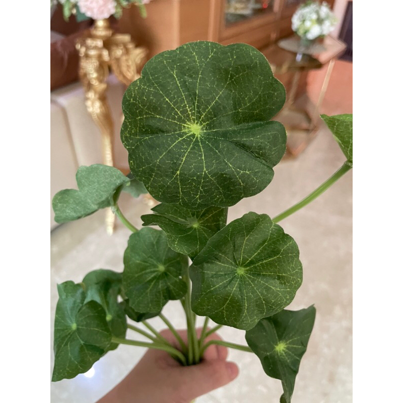 พร้อมส่ง  ใบบัวจิ๋ว ใบบัวปลอม ใบบัวบก ดอกไม้ประดิษฐ์ ดอกไม้ปลอม ดอกไม้ประดับ บัว - รูปที่ 2