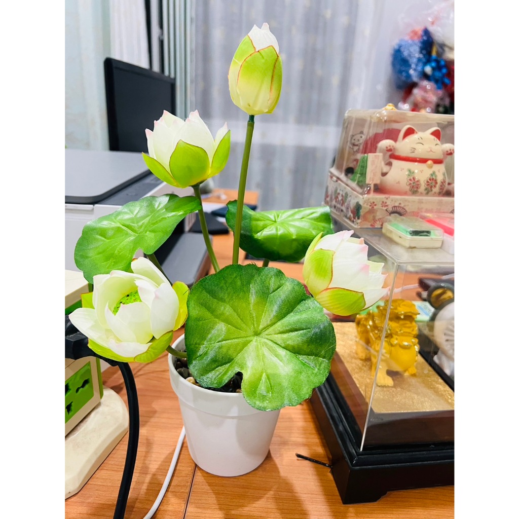 ดอกบัว (ดอกบัวหลวงสีขาว พร้อม กระถางสีขาว สวยๆๆ)พร้อมส่งจากไทย ขนาด 35-40 ซม.ดอกบัวปลอม สวย ทน
