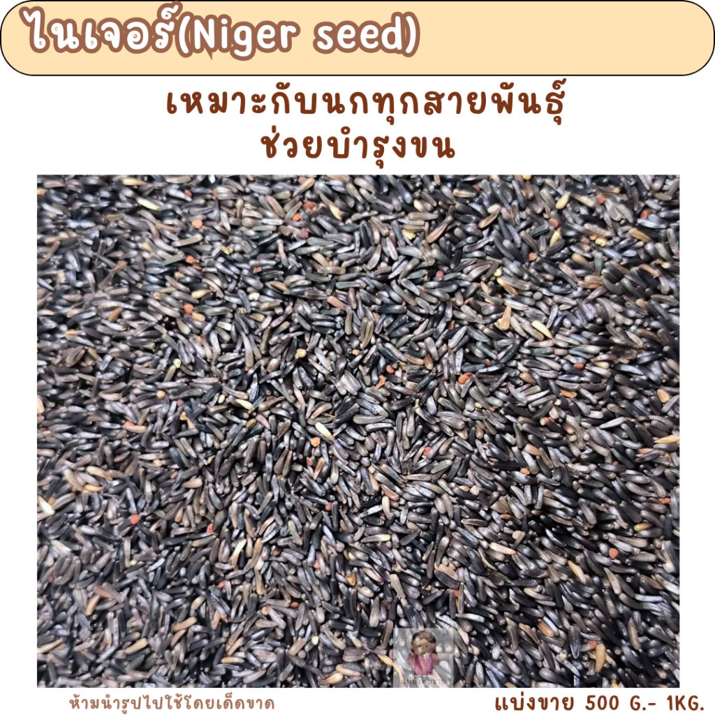 เมล็ดไนเจอร์ (Niger seed)(แบ่งขาย 200-500G.) เหมาะกับนกทุกสายพันธุ์ ช่วยบำรุงขน