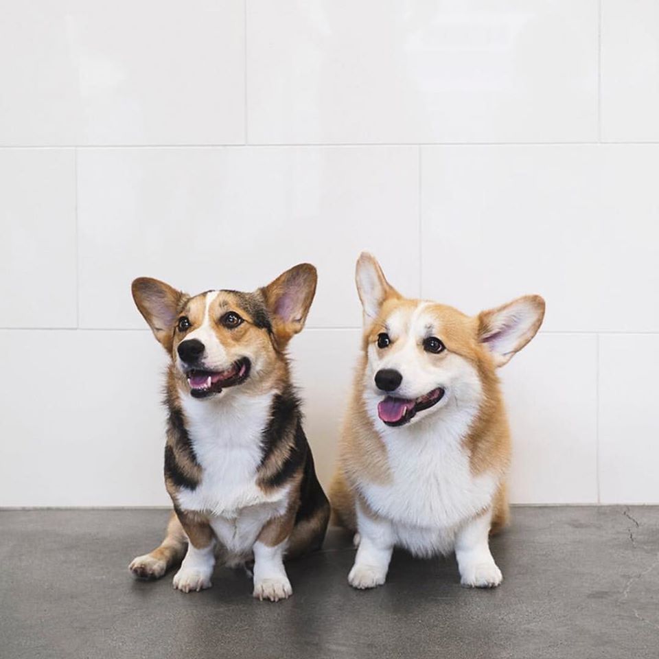 RR 1 baht onlyyyyyyy