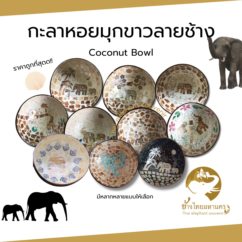 กะลาหอยมุกขาว ลายช้าง Coconut Bowl ชามกะลามะพร้าว เพ้นท์สี ฝังเปลือกหอย เปลือกไข่