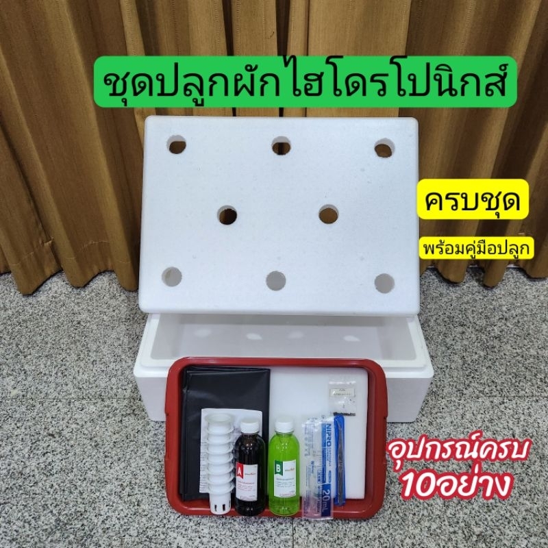 ชุดปลูกผักไฮโดรโปนิกส์สำหรับมือใหม่