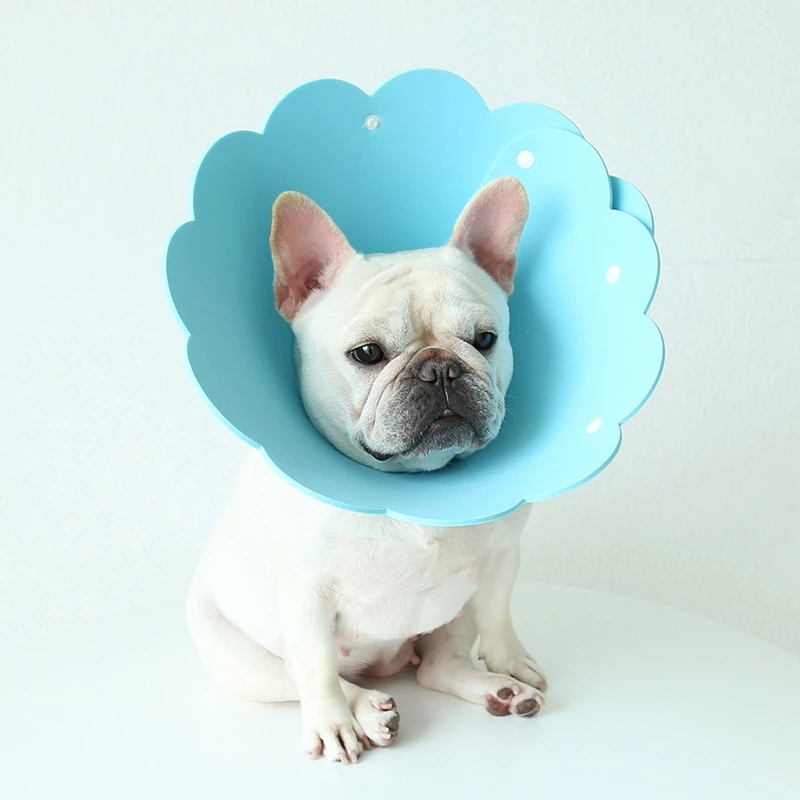 คอลล่าแบบโฟม น่ารัก มี4ไซส์ XS,S,M,L **สินค้าพร้อมส่ง** thumbnail 8