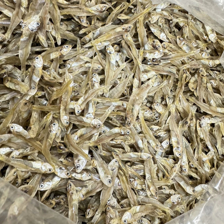 🐟🐟ปลาจิ้งจั้ง ตากแห้ง🐟🐟 ‼ครึ่งกิโล‼ ปลาตัวเล็กมีหัว ตากแห้ง ตัวใส หอม เนื้อสวยแห้ง สะอาด อาหารแห้ง (007)