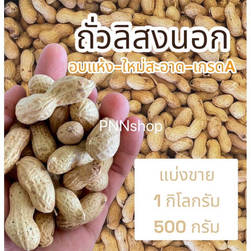 ถั่วลิสงอบแห้ง อาหารนกแก้วทุกสายพันธุ์และสัตว์ฟันแทะ เกรดA คัดพิเศษ(แบ่งขาย)