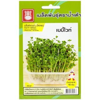 เมล็ดไควาเระ เบบี้ไวท์ ตราน้ำเต้า