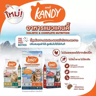 Kandy แคนดี้ อาหารแมวโฮลิสติก สำหรับแมวทุกช่วงวัย ขนาด 1.5 Kg {ยกลัง6ถุง}